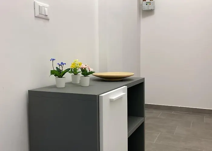 Mazzini Bologna